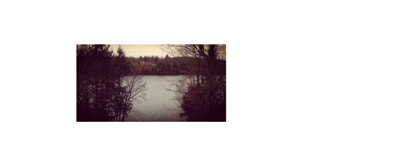 This is a picture of a lake. The water is framed on the left and right by tall trees. It's fall and many of the trees' branches are bare. On the far side of the lake is a mountainous shoreline. Small waves ripple across the lake with a light breeze. The sky is cloudy, blocking the sun and casting shadows down on the lake.