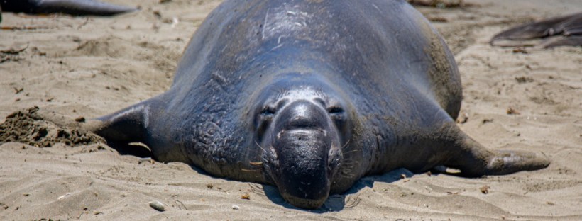 Sleep is one of the most important elements to your mental health and wellness.