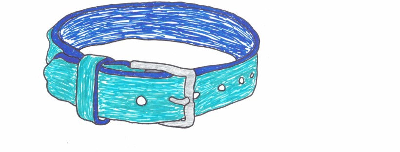 A dog collar is clasped together. It circles nothing but air. The edges of the thick, leather collar are a dark blue, as is the inside of the collar. The outer layer of leather is a lighter shade of blue. Both are odd colours for a dog collar. The clasp is a light shade of grey, which is a proper collar for something made of metal. There are five holes punched in the collar to adjust the neck hole size.