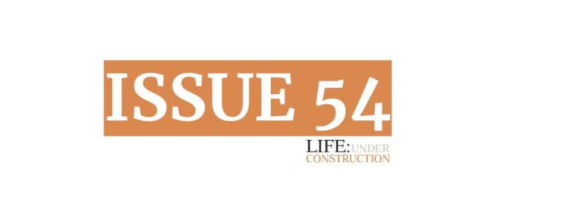 ssue 54 of Life: Under Construction, a fortnightly newsletter by The Davis Daily. Join the crew for 15 interesting things about growth and creativity, wealth and wellness.