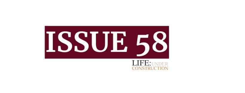 Read Issue 58 of Life: Under Construction, a fortnightly newsletter by The Davis Daily. Join the crew for 15 interesting things about growth and creativity, wealth and wellness.