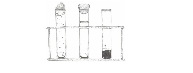 Three test tubes stand in a row within an old tube rack. You can tell it’s old because the surface is well-worn and pitted, showing its years of use. The test tube on the left is full of a clear liquid. Several bubbles in various sizes rise from the bottom. The bubbles gather at the opening of the test tube to form a pyramid-looking stack. The middle test tube is three-quarters of the way full with a clear liquid. Two tiny bubbles rise from the very bottom. A cork is pressed firmly into the opening. The test tube on the right is only a quarter of the way full, but the liquid is dark, almost black. A few bubbles spurt from the liquid but remain far from the opening.